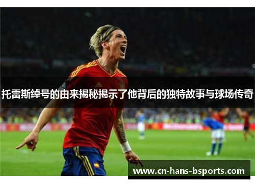 托雷斯绰号的由来揭秘揭示了他背后的独特故事与球场传奇