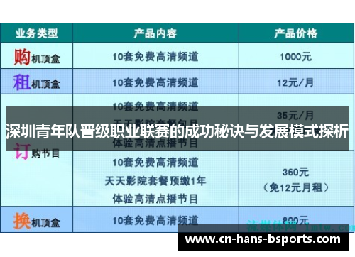 深圳青年队晋级职业联赛的成功秘诀与发展模式探析