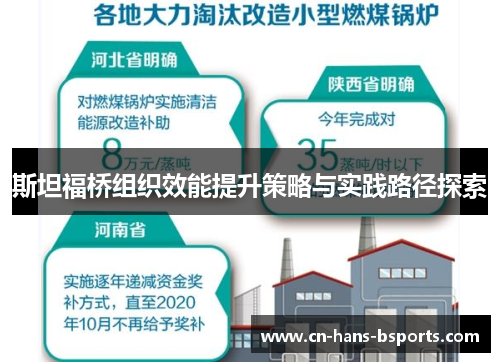 斯坦福桥组织效能提升策略与实践路径探索