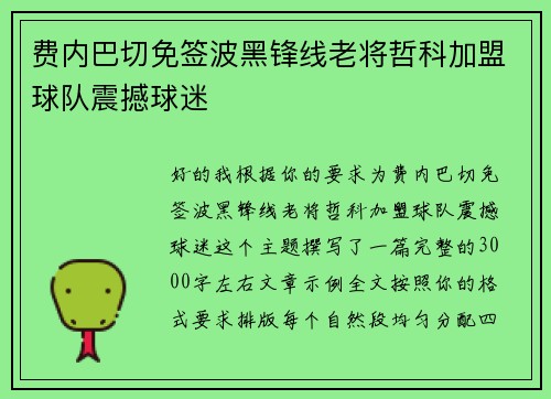 费内巴切免签波黑锋线老将哲科加盟球队震撼球迷 费内巴切免签波黑锋线老将哲科加盟球队震撼球迷